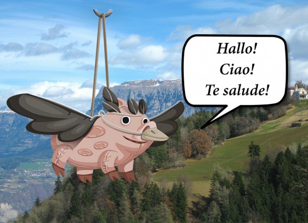 schwein_verschoben
