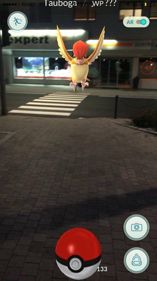 13695094_10208824203075492_1770771435_n