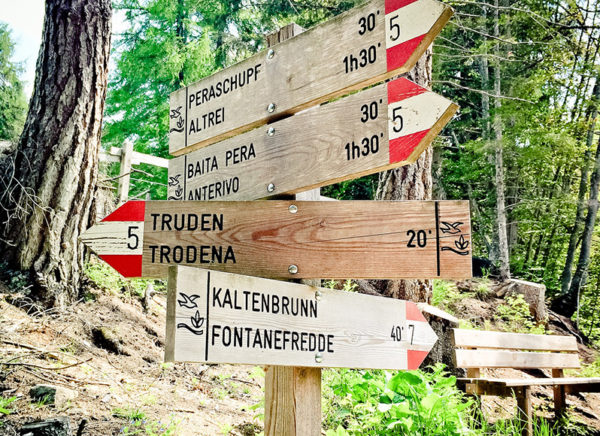 Wegweiser
