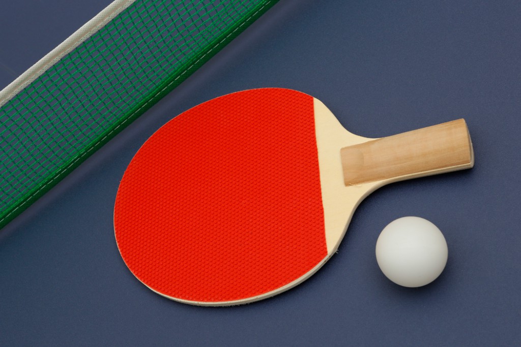 Der Schläger Und Der Ball Kosten