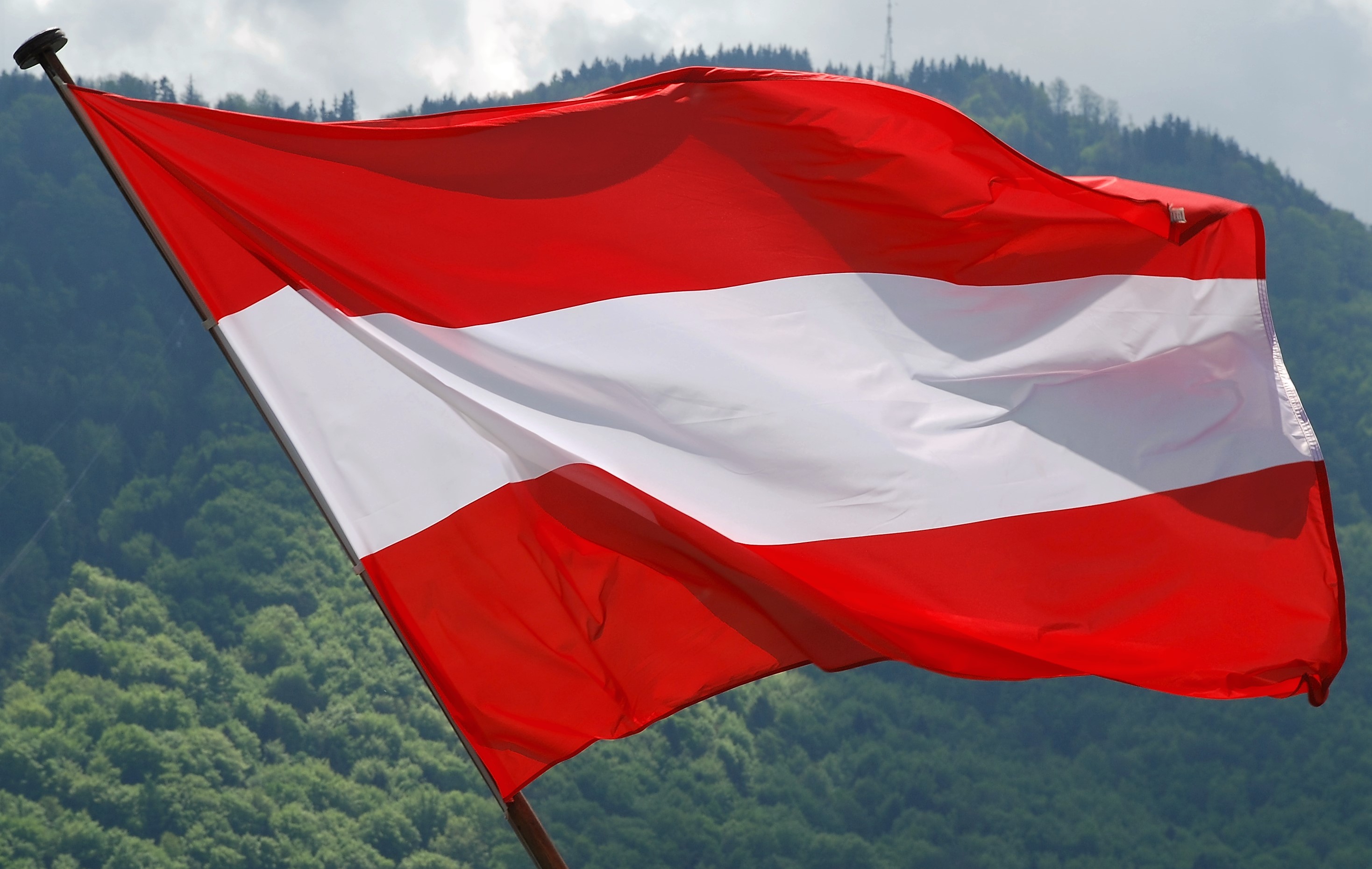 Австрия приняла. Австрия Республикасы флаг. Австрия флаг и столица. Австрийский флаг. Государственный флаг Австрии.