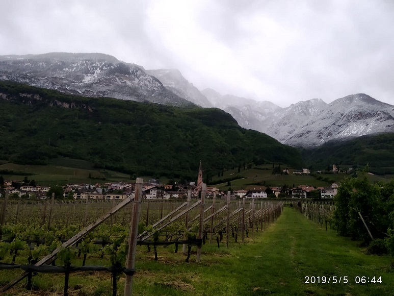 Südtirol, Nordtirol: Aktuelle Straßen- und Wettersituation ...