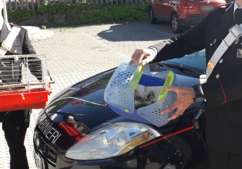 Frau sucht mann vinschgau