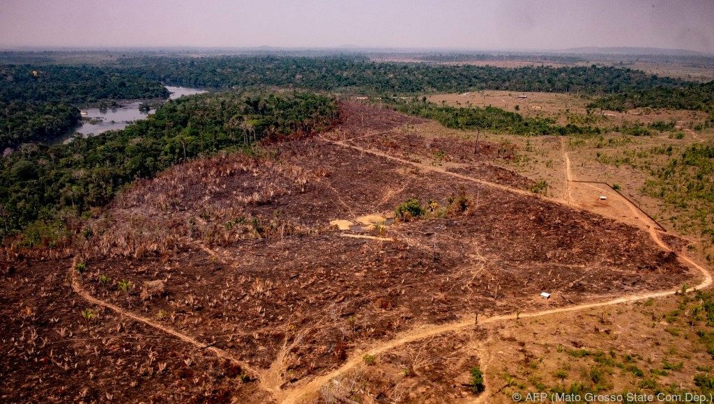 Abholzung im Amazonas-Regenwald hat drastisch zugenommen - UnserTirol24