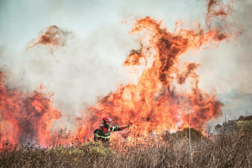 Waldbrände auf Sardinien – Tausende kämpfen gegen Flammen - UnserTirol24