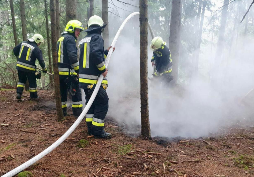 Jenesien: Brand Im Freien - UnserTirol24