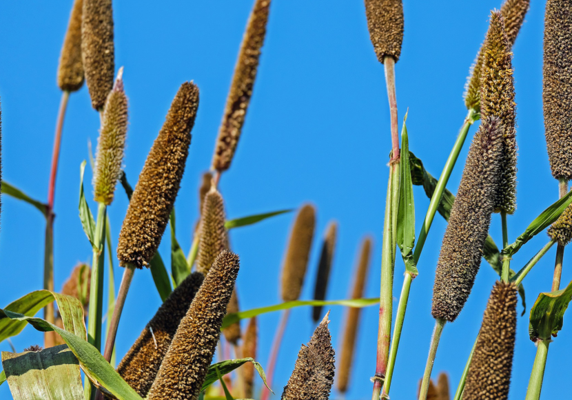 2023 ist das Internationale Jahr der… UnserTirol24