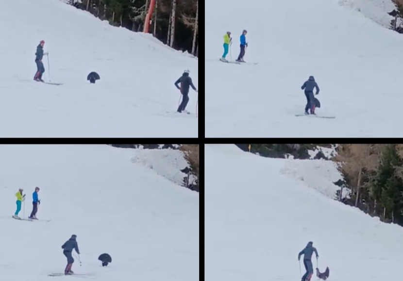 kronplatz-giggo-mord.jpg